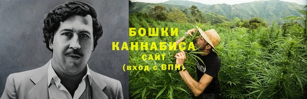 ECSTASY Дмитров