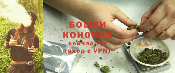 ECSTASY Дмитров